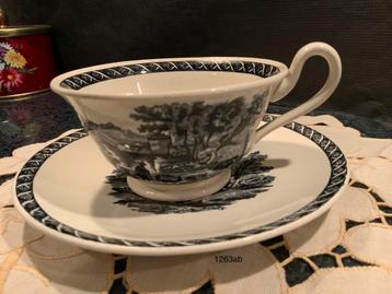 Wedgwood Etruria Tea Cup & Saucer, Lugano pattern stoneware beschikbaar voor biedingen