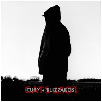 Cuby + BLizzards - Cats lost - 2009 beschikbaar voor biedingen