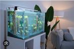 GEZOCHT!!!!!! aquarium, Ophalen of Verzenden, Zo goed als nieuw, Gevuld zoetwateraquarium