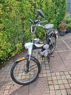 Puch ms 25, Ophalen, Gebruikt, Overige modellen, 2 versnellingen