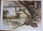 M.A. Koekkoek - roofdieren in de winter - nieuwe kaart, Verzamelen, Verzenden, 1980 tot heden, Ongelopen, Wild dier