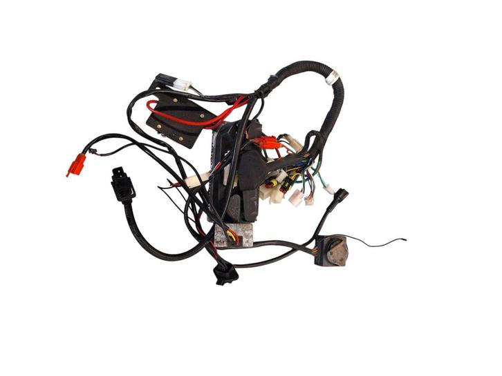 Kabelboom controller origineel AGM Goccia GEV, Fietsen en Brommers, Brommeronderdelen | Scooters, Gebruikt, Ophalen of Verzenden