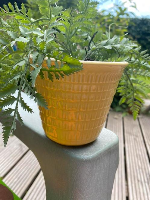 Vintage retro bloempotje, jaren 50/60, Tuin en Terras, Bloempotten, Gebruikt, Aardewerk, Binnen, Minder dan 40 cm, Minder dan 25 cm