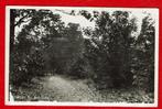Renkum - Bos Keijenberg - 1952 (pst.st. Renkum), Verzamelen, Ophalen of Verzenden, 1940 tot 1960, Gelopen, Gelderland