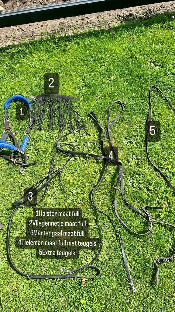 Paardenspullen voor kleine prijs, Dieren en Toebehoren, Paarden en Pony's | Overige Paardenspullen, Zo goed als nieuw, Ophalen of Verzenden