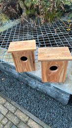 Nestblokken, Meerdere dieren, Tropenvogel