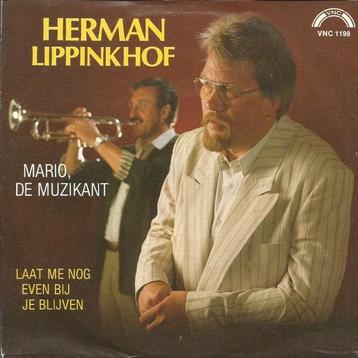 Vinylsingles herman lippinkhof gezocht  beschikbaar voor biedingen