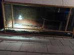 Groot terrarium 230x98x100., Dieren en Toebehoren, Reptielen en Amfibieën | Toebehoren, Ophalen, Gebruikt, Terrarium of Paludarium