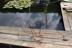 ijzeren figuren (zwaan, vogel, slak, boog, stoel, ...), Tuin en Terras, Tuinbeelden, Metaal, Zo goed als nieuw, Ophalen, Dierenbeeld