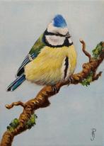 schilderij pimpelmees 126 - origineel cadeau - vogels vogel, Ophalen of Verzenden