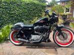 Harley Davidson Sportster 1200 XL, Motoren, Motoren | Harley-Davidson, Particulier, Chopper