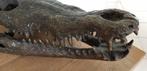 Brons / SCHEDEL van een KROKODIL / nieuw!! / OPRUIMING, Tuin en Terras, Dierenbeeld, Nieuw, Info@huisentuindecoratiemarie.nl, Huis en tuin decoratie marie