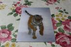 3D Stereo Postkaart - Siberische Tijger in de Sneeuw, German, Verzenden, 1980 tot heden, Ongelopen, Wild dier
