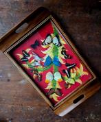 Vlinders geprepareerd onder glas van dienblad vintage, Ophalen of Verzenden, Zo goed als nieuw, Insect, Opgezet dier