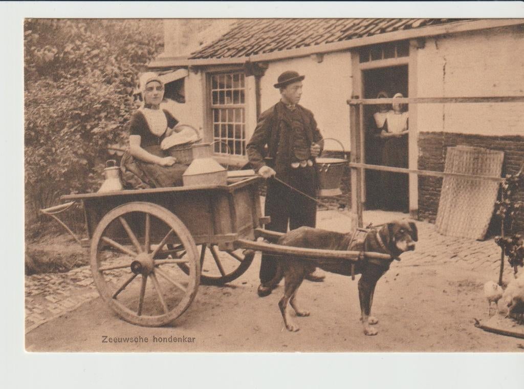 Zeeuwsche Hondenkar Klederdracht, Verzamelen, Verzenden, Voor 1920, Ongelopen, Zeeland
