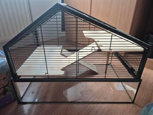 Prachtige glazen dwerghamster kooi incl vele extra's, Dieren en Toebehoren, Knaagdieren en Konijnen | Hokken en Kooien, Zo goed als nieuw