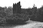 901237	Nieuw Milligen	Gld 1956	vakantieoord	Rabbit Hill	Gelo, Ophalen of Verzenden, 1940 tot 1960, Gelopen, Gelderland