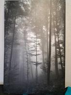 Foto canvas 115 x 75 cm - Boslandschap, Ophalen of Verzenden, Minder dan 200 cm