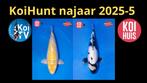shiro utsuri koi Kobayashi, Dieren en Toebehoren, Karper of Koi