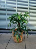 Prachtige kunstplant nieuw, Huis en Inrichting, Kamerplanten, Ophalen of Verzenden, Overige soorten, Minder dan 100 cm