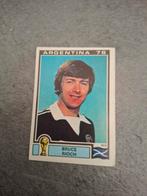Panini sticker WK 78 Argentina. Speler Bruce Rioch Schotland, Verzenden, Zo goed als nieuw, Sticker