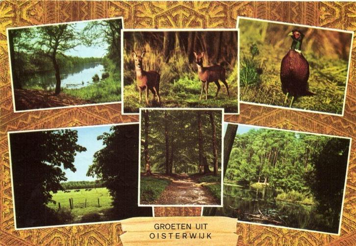 Groeten uit Oisterwijk - 6 afb - 1974 gelopen, Verzamelen, Ansichtkaarten | Nederland, Ongelopen, Noord-Brabant, Voor 1920, Ophalen of Verzenden