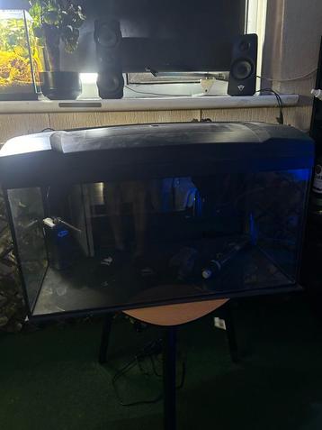 Aquarium 54L  61x36x32 beschikbaar voor biedingen