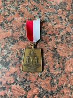 Medaille bevrijdingswandeltocht, Ophalen of Verzenden, Brons, Nederland