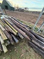 Weidepalen - Diverse lengtes, Tuin en Terras, Palen, Balken en Planken, Ophalen, Gebruikt, Palen, Hardhout