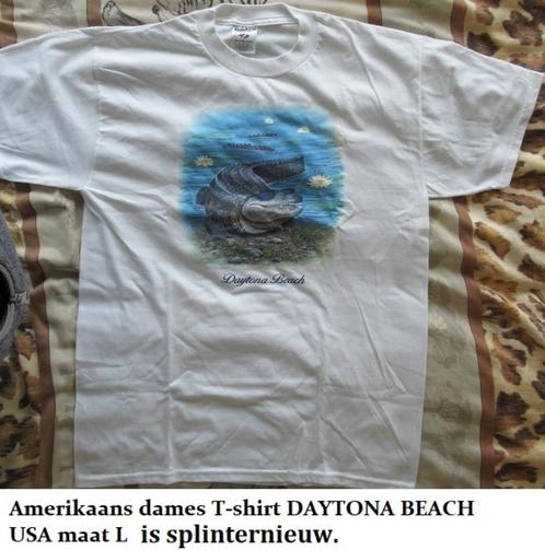 splinternieuw dames T-shirt, DAYTONA BEACH FLORIDA, Kleding | Dames, T-shirts, Nieuw, Maat 42/44 (L), Wit, Ophalen of Verzenden