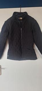 Zwarte Harry's Horse stal jas/bodywarmer, Dieren en Toebehoren, Paardrijkleding, Overige soorten, Ophalen of Verzenden, Zo goed als nieuw