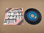 Single: Hoagy Pogey - Don't Ya Know (1972), Verzenden, Gebruikt, 7 inch, Pop