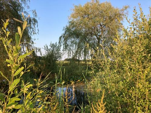 Vakantiewoning met volledig omheinde tuin en natuurvijver, Vakantie, Vakantiehuizen | Nederland, Noord-Brabant, Overige typen