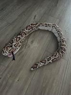 Knuffel python ikea, Slang, 0 tot 2 jaar
