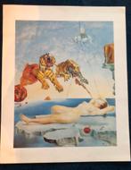 Poster Dali 40 x 50 cm, Ophalen of Verzenden, Zo goed als nieuw, A1 t/m A3, Film en Tv