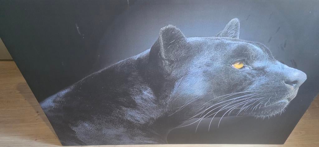 Zwarte Panter Schilderij, Ophalen of Verzenden, Zo goed als nieuw, Schilderij, 100 tot 125 cm