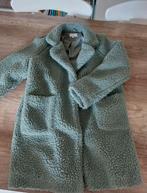 Mooie groene Teddy jas maat 158, Ophalen of Verzenden, Zo goed als nieuw, Meisje, Jas
