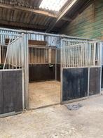 Stalling voor hengst veulen, Stalling, 1 paard of pony