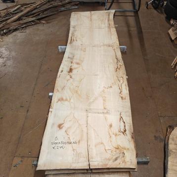 Boomstam tafel bladen gedroogde en onbewerkt Populieren. beschikbaar voor biedingen