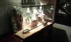 Terrarium 70*40*40 cm NIEUW aanbieding, Dieren en Toebehoren, Reptielen en Amfibieën | Toebehoren, Ophalen, Nieuw, Info@terraglas.nl