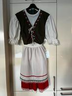 Dirndl Jurk - Maat 38- Carnaval of Themafeest, Ophalen of Verzenden, Zo goed als nieuw, Carnaval, Kleding