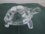 Glazen schildpad, Verzamelen, Ophalen of Verzenden, Zo goed als nieuw, Dier