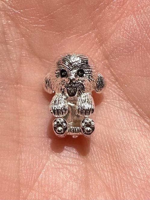 Prachtige zilveren terriër bedel. Nieuw, gemerkt S925, Sieraden, Tassen en Uiterlijk, Bedels, Nieuw, Overige merken, Zilver, 1 bedel