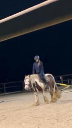 Verzorg/bijrijd  pony/paard gezocht gratis, Ophalen of Verzenden, Nieuw