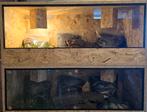 Complete startset reptiel, Dieren en Toebehoren, Ophalen, Nieuw, Terrarium of Paludarium