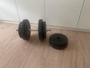 Dumbell met 20kg gewichten beschikbaar voor biedingen