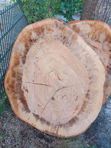 Tafel tafelblad beuken boomstamblad boomstam uniek!! beschikbaar voor biedingen
