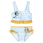 Bluey Bikini - Maat 92 - 98 - 104, Kinderen en Baby's, Kinderkleding | Kinder-zwemkleding, Maat 98, Bikiniset, Meisje, Nieuw