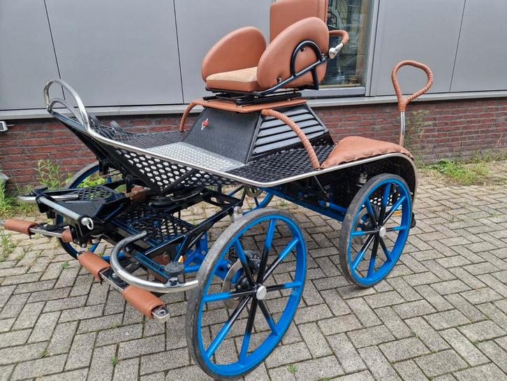 Diverse enkel en tweespanwagens, Dieren en Toebehoren, Rijtuigen en Koetsen, Gebruikt, Paard of Pony