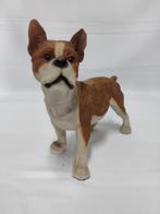 Boston Terriër hond bruin met Wit gekleurd., Verzamelen, Ophalen of Verzenden, Nieuw, Dier